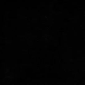  Falpanel, egyszínű, bambuszrost, 280x122 cm - Midnight Black